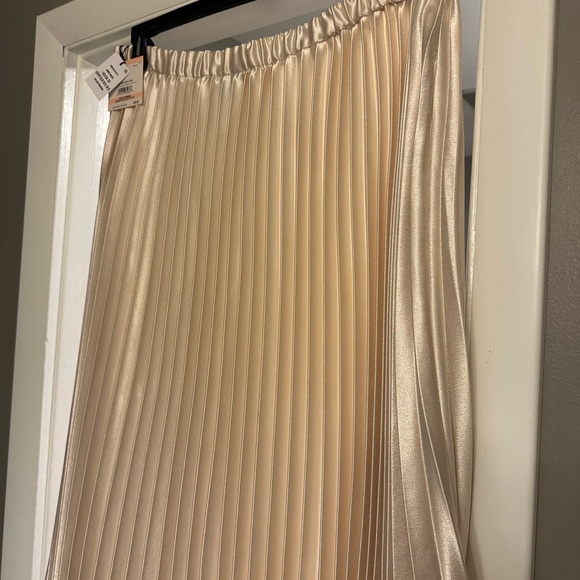 ANNE KLEIN PULL-ON PLEATED A-LINE SKIRT, SIZE 2X.NWT - Picture 4 of 6